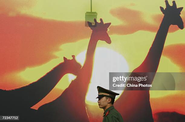 Paramilitary policeman patrols in front of a billboard promoting the Beijing Summit of the Forum on China-Africa Cooperation on November 2, 2006 in...