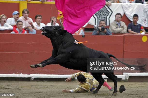 Cesar Rincon 202 Cesar Rincon Stock Photos, High-Res Pictures, and Images - Getty Images