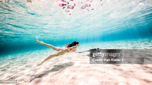 female free diver swimming with stingray near seabed - woman diving underwater stock pictures, royalty-free photos & images