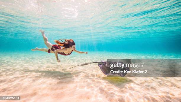 female free diver swimming with stingray on seabed - bimini fotografías e imágenes de stock