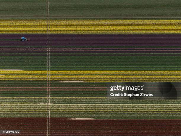 aerial view of various crops in agricultural field, stuttgart, baden-wuerttemberg, germany - stuttgart panorama stock pictures, royalty-free photos & images