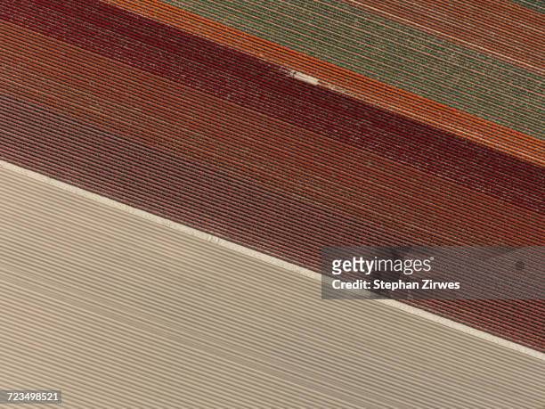 full frame shot of agricultural landscape, hohenheim, stuttgart, baden-wuerttemberg, germany - baden baden aerial fotografías e imágenes de stock