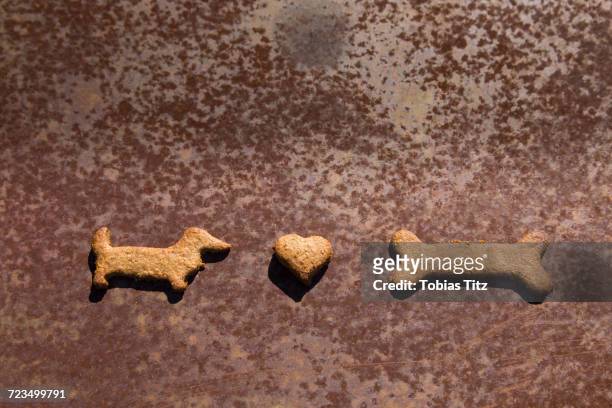 directly above shot of gingerbread cookies on rusty metal - dog bone biscuit stock pictures, royalty-free photos & images