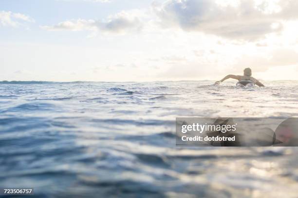 rear view of woman paddling on surfboard in sea, nosara, guanacaste province, costa rica - nosara stock-fotos und bilder