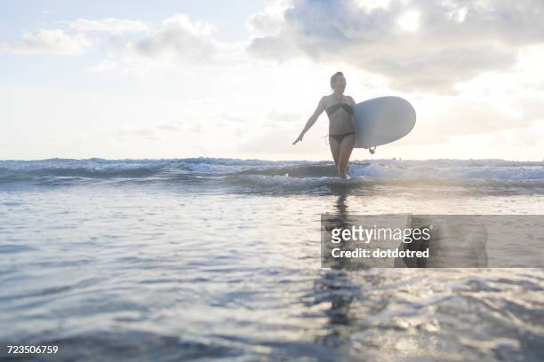 woman carrying surfboard in sea, nosara, guanacaste province, costa rica - nosara stock-fotos und bilder