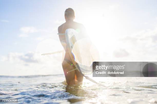 rear view of woman carrying surfboard in sunlit sea, nosara, guanacaste province, costa rica - nosara costa rica stock pictures, royalty-free photos & images