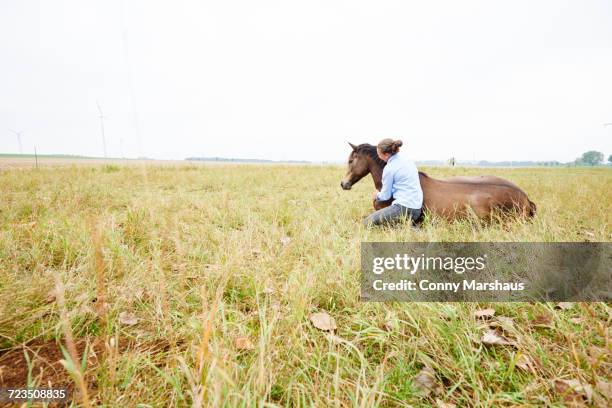 woman crouching with arm around horse lying down in field - horse lying down stock pictures, royalty-free photos & images