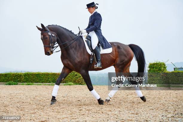 female rider trotting while training dressage horse in equestrian arena - dressage stockfoto's en -beelden