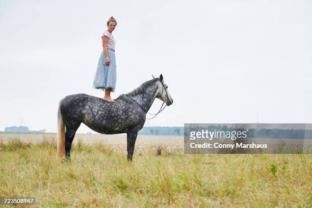 woman in skirt standing on top of dapple grey horse in field - 1 woman 1 horse fotografías e imágenes de stock