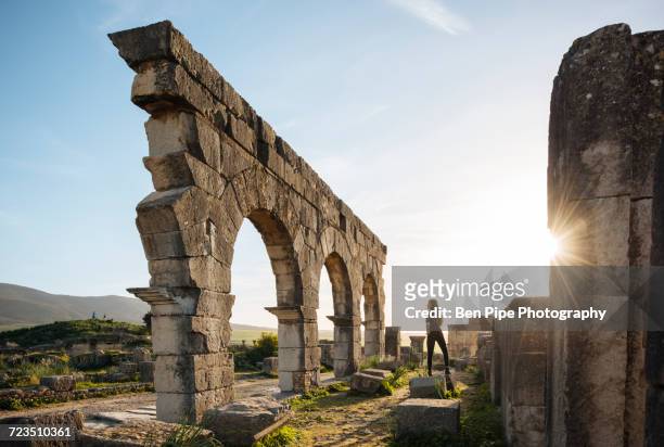 roman ruins of volubilis, meknes, morocco, north africa - moulay idriss morocco photos et images de collection
