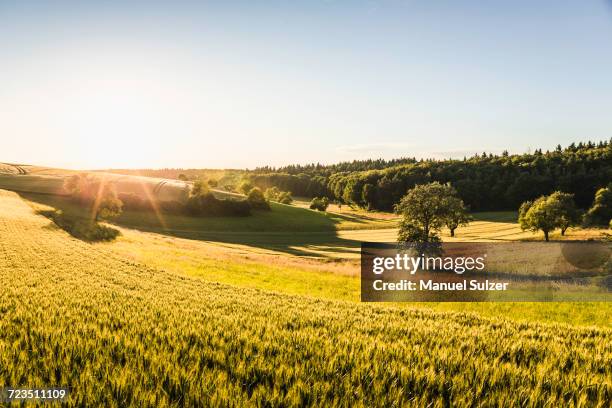 rural scene, neulingen, baden-wrttemberg, germany - baden wurttemberg fotografías e imágenes de stock