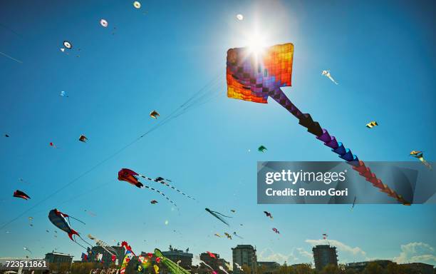 colourful kites flying in blue sky, rimini, italy - kite stock pictures, royalty-free photos & images