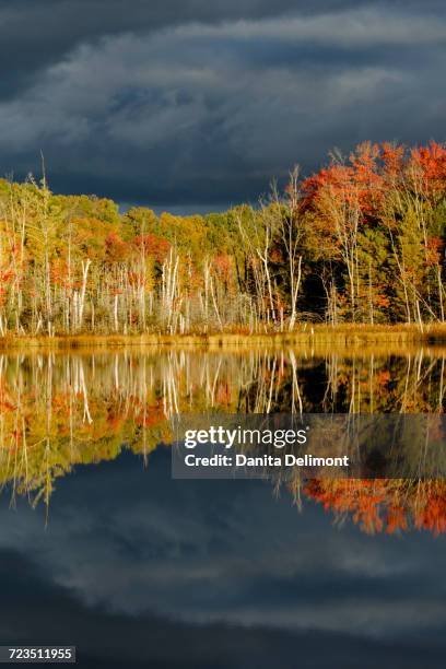 shoreline of red jack lake at sunrise, hiawatha national forest, upper peninsula of michigan, usa - hiawatha national forest stock-fotos und bilder