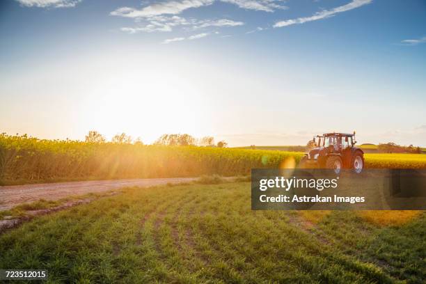 tractor on dirt road amidst field during sunset - tractor stock pictures, royalty-free photos & images