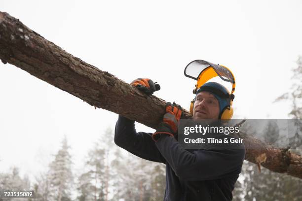 logger carrying log, tammela, forssa, finland - waldarbeiter stock-fotos und bilder