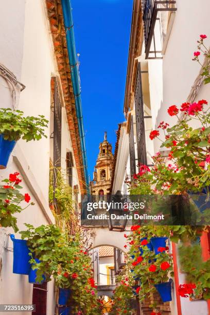 calleja de las flores, old torre del alminar bell tower, mezquita, cordoba, andalusia, spain - córdoba españa fotografías e imágenes de stock