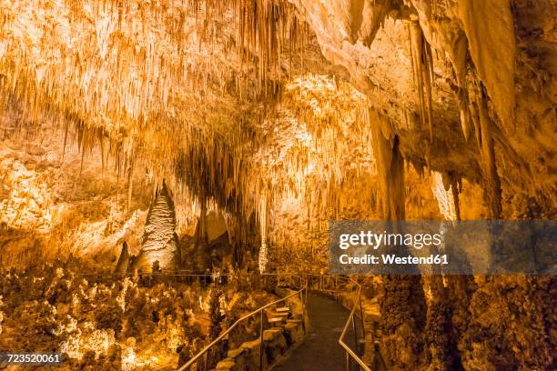 usa, new mexico, carlsbad caverns, big room - carlsbad caverns national park stock-fotos und bilder