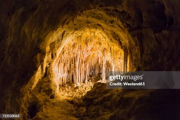 usa, new mexico, carlsbad caverns, big room - carlsbad caverns national park stock-fotos und bilder