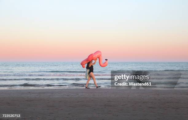 young woman walking with inflatable pink flamingo on the beach at sunset - inflatable stock pictures, royalty-free photos & images