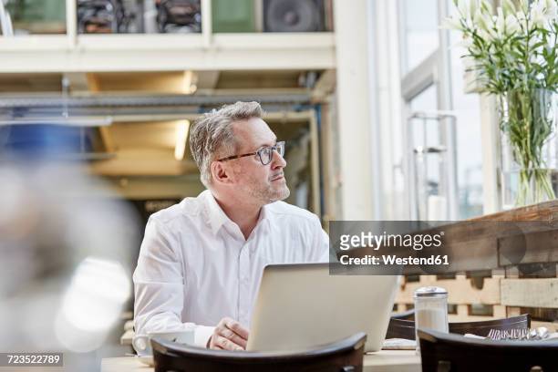 mature businessman in cafe using laptop - tisch betrachten stock-fotos und bilder