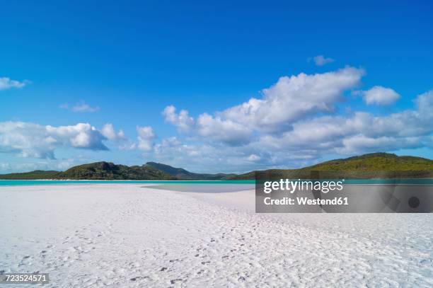 australia, queensland, whitsunday island, whitehaven beach - praia whitehaven - fotografias e filmes do acervo