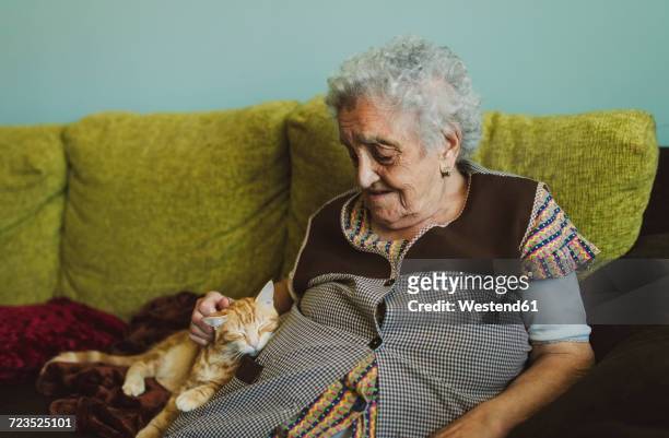 senior woman sitting on couch stroking tabby cat - old lady cat stock pictures, royalty-free photos & images