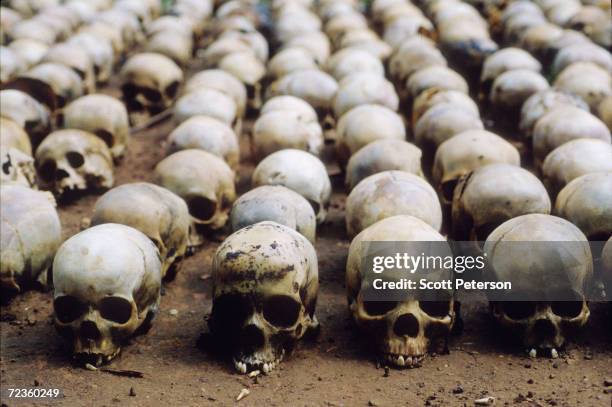 Three hundred skulls sit in lines outside a chapel November 6, 1994 in Rwanda as authorities determine the extent of the genocide that resulted in...