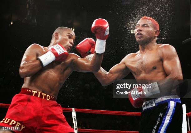 Felix "Tito" Trinidad Jr fights Ricardo Mayorga for the WBA North American and North American Boxing Council middleweight titles at Madison Square...