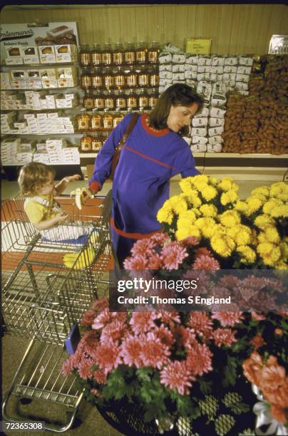 Shopper looking at flowers at a Kroger store.