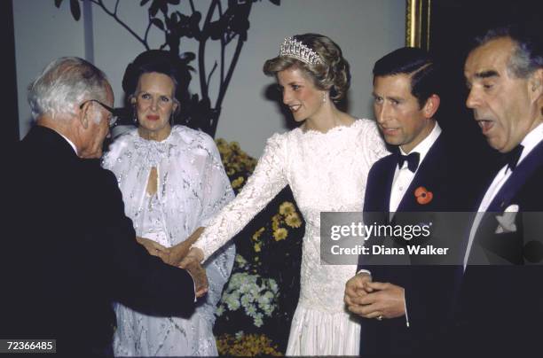 Loria Diana 183 Princess Diana 1985 National Gallery Stock Photos, High-Res ...