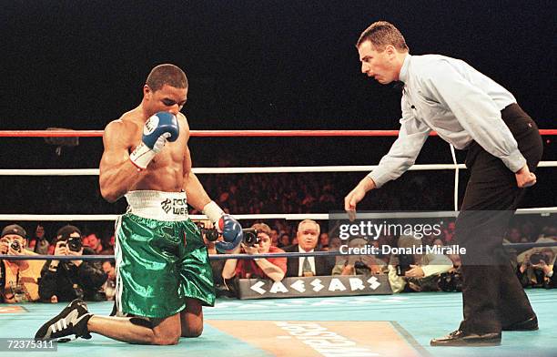 Referee Mitch Halpern gives David Reid an eight-count after being knocked down by Felix Trinidad in the seventh round of their WBA Super Welterwight...