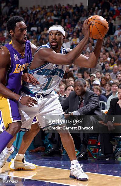 EZ620 Baron Davis Charlotte Hornets Basketball 8x10 11x14 16x20 Photo
