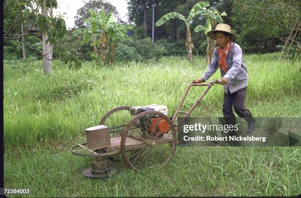 Laborer on rice farm using grass cutter powered by locally manufactured Honda engine.