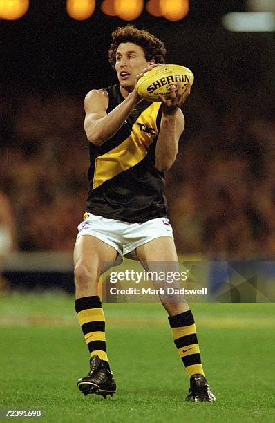 Darren Gasper for Richmond in action during the AFL 1st Qualifying Final played between the Essendon Bombers and the Richmond Tigers held at the...