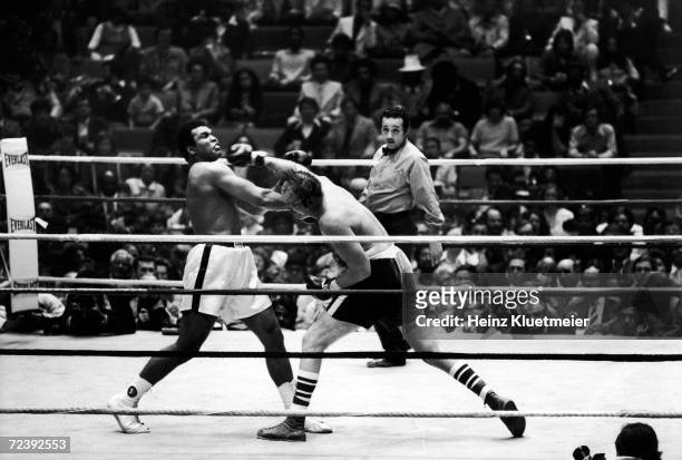 Boxers Muhammad Ali, & Chuck Wepner in action during their heavyweight title fight.
