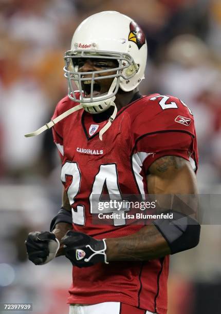 Safety Adrian Wilson of the Arizona Cardinals reacts after a play against the Chicago Bears on October 16, 2006 at University of Phoenix Stadium in...