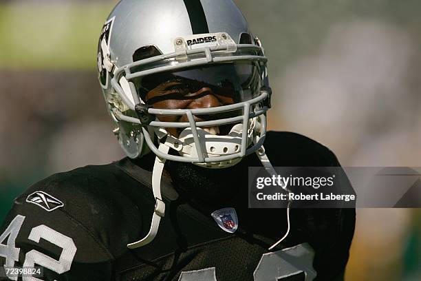 Running back Reshard Lee of the Oakland Raiders smiles as he stands on the field during an NFL game against the Pittsburgh Steelers at McAfee...