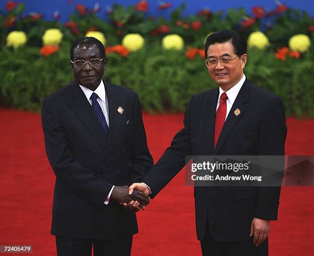 Zimbabwean President Robert Mugabe is greeted by Chinese President Hu Jintao during the welcoming ceremony for representatives attending the Beijing...