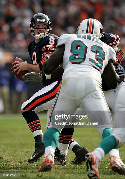 Rex Grossman of the Chicago Bears drops back to pass as Kevin Carter of the Miami Dolphins puts on the pressure during game action on November 5,...