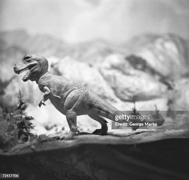 Rex By Microscope Rex B Photos and Premium High Res Pictures - Getty Images