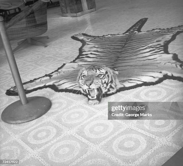 tiger skin rug lying on floor, (b&w) - tiger print stock pictures, royalty-free photos & images