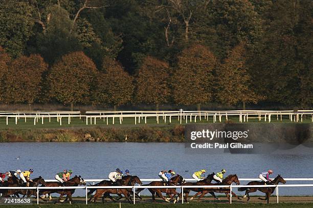 Three Boars ridden by Silvestre de Sousa in amongst the pack on its way to winning the Jump Racing Here Tomorrow Banded Stakes during Kempton Races...