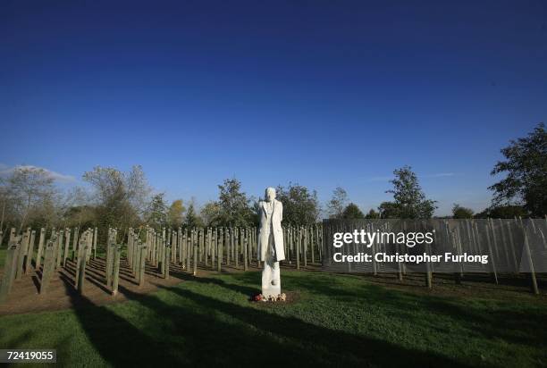The Shot at Dawn memorial which honours soldiers executed by British forces in World War I, stands in the sun on November 6, 2006 in the grounds of...