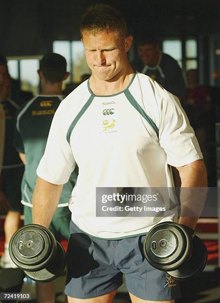 150 Springbok Gym Session Stock Photos, High-Res Pictures, and Images ...