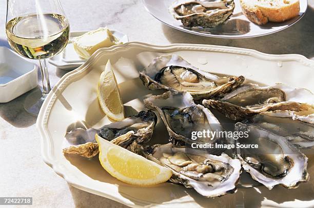 a plate of oysters - oysters stock-fotos und bilder