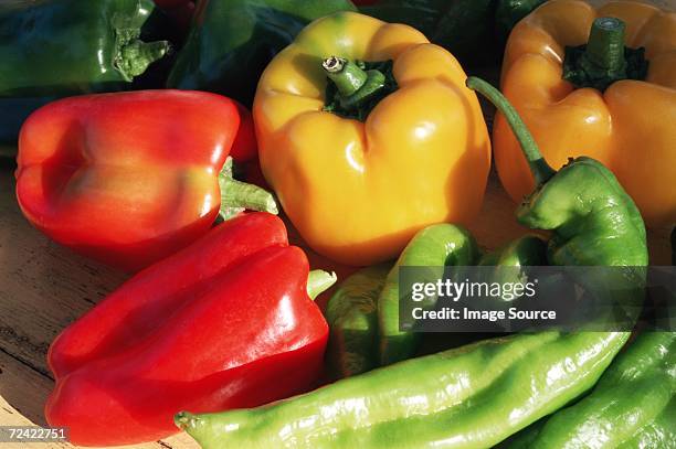 variety of peppers - gelbe paprika stock-fotos und bilder