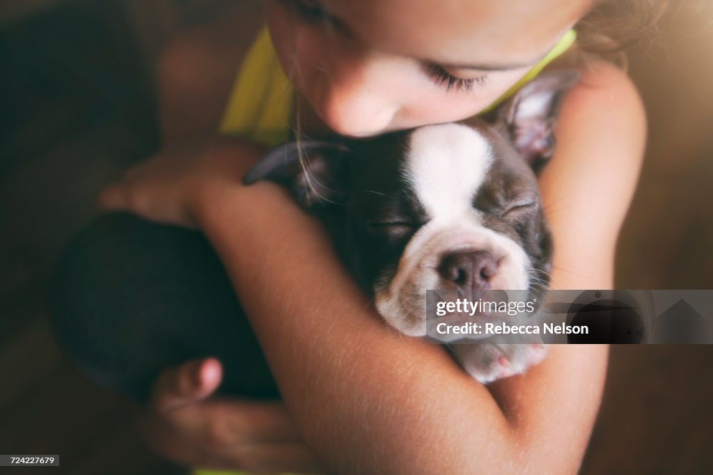 Girl hugging Boston Terrier puppy