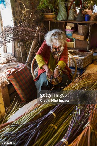 woman weaving a basket in a weavers workshop, bundles of willow. - kompetenz bündeln stock-fotos und bilder