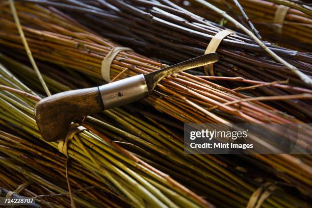 close up of willow bundles and hand tool in a basket weavers workshop. - kompetenz bündeln stock-fotos und bilder