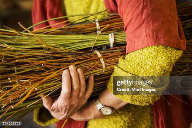 close up of woman holding a willow bundle in a basket weavers workshop. - kompetenz bündeln stock-fotos und bilder